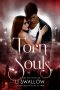 [Soul Ties 02] • Torn Souls